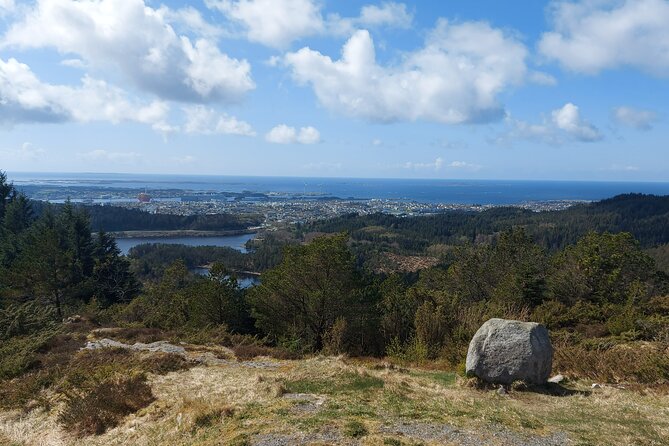 Scenic tour to Steinsfjellet, locals at Kringsjå & Rising Tide - Coffee, apple cake, sheep, and a real local welcome