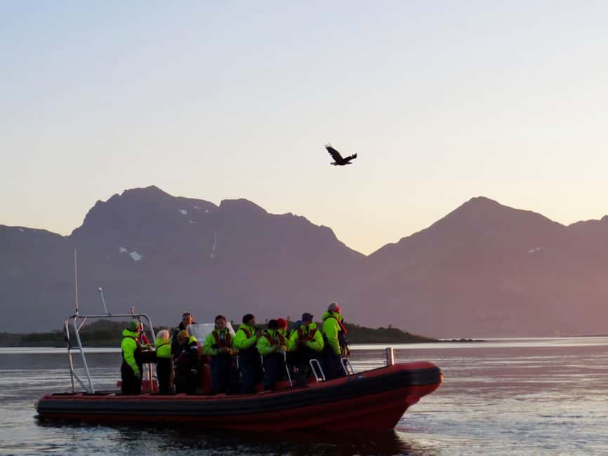 Sea Eagle/Nature Safari - Why Henningsvær is a fine launch point