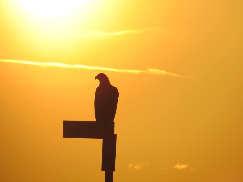 Sea Eagle/Nature Safari - Who should choose this experience?