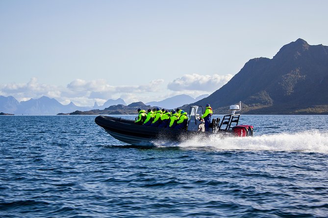 Sea Eagle Safari from Svolvær to Trollfjorden - Why the RIB ride is part of the attraction