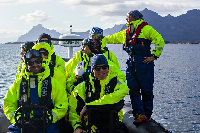 Sea Eagle Safari from Svolvær to Trollfjorden - Picking the right day and packing well