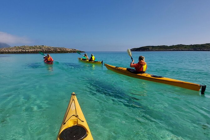 Sea Kayak Guided Tours on Skrova Island - Practical details that affect your day