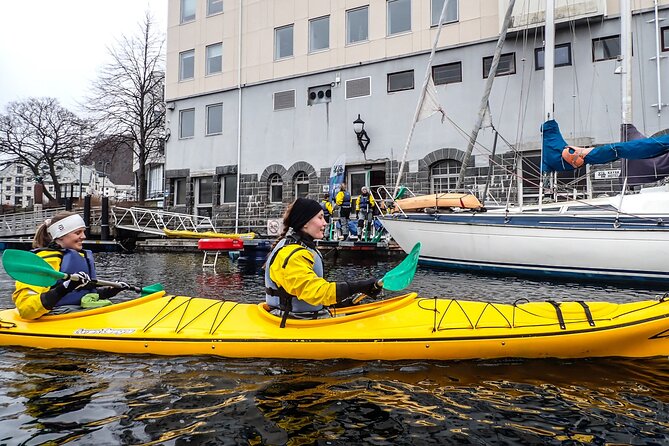 Sea Kayaking In Ålesund - Who should book this Ålesund kayak tour?