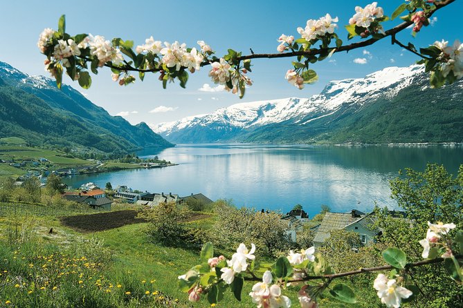 Self-Guided 22-Hour Round Trip From Oslo To Sognefjord With Flåm Railway - Who Will Get the Most from This Trip?