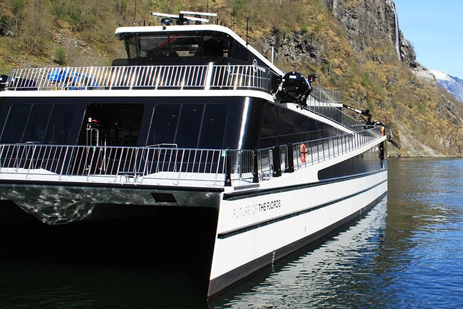 Self-Guided Bergen to Oslo Daytrip With Flamsbana & Fjordcruise - Self-guided travel and the paperwork