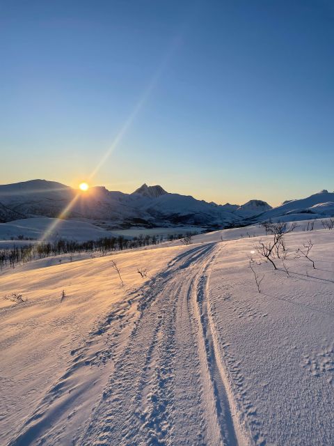 Senja Island: Winter Light Package Deal, 1 Day and 1 Night - Key points to know before booking