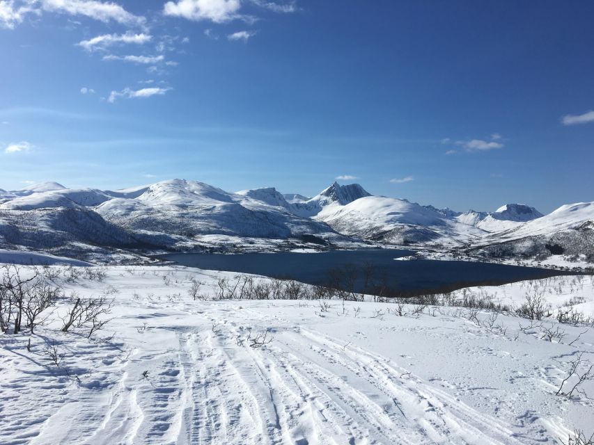Senja Island: Winter Light Package Deal, 1 Day and 1 Night - The following morning and your return options