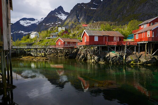 Shore Excursion Full day Private Tour in Lofoten - Timing, pickup, and what to plan