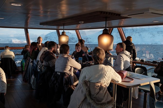 Silent Whale Watching by Hybrid-Electric Boat from Tromsø - Winter daylight and the problem of distance