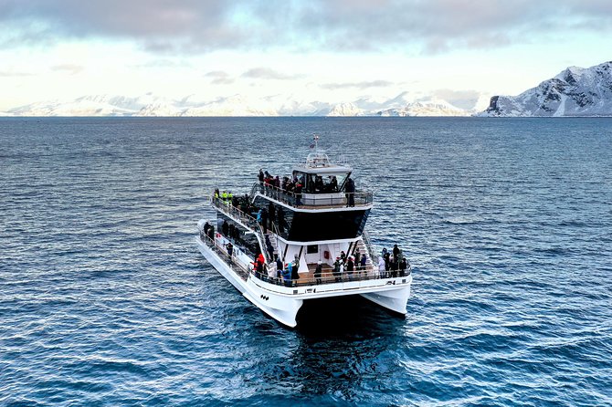 Silent Whale Watching by Hybrid-Electric Boat from Tromsø - Reaching Skjervøy and the Kvænangen search area