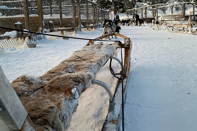 Sit Down Husky Ride Dog Sled Tour in Kiruna - Coffee, cake, and a fire in the lavvu