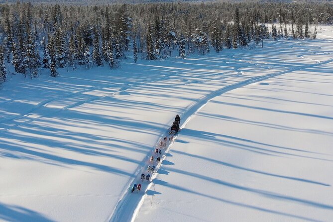 Sit Down Husky Ride Dog Sled Tour in Kiruna - How the pickup works in central Kiruna