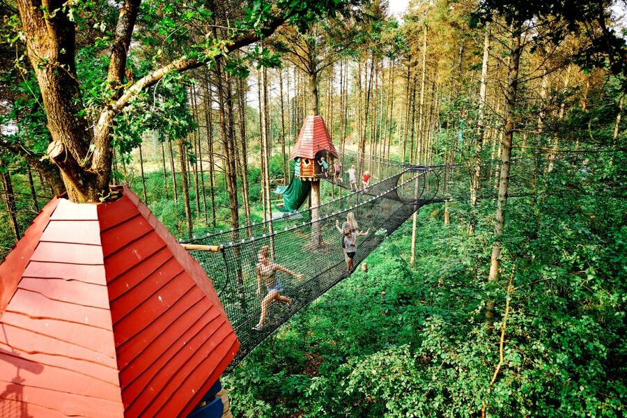 Skjern: WOW PARK Entry Ticket - A full day among trees, ropes, and slides