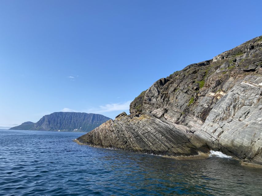 Skjervøy: Birds and Wildlife of Arctic Norway - Should You Book the Skjervøy Wildlife Cruise?