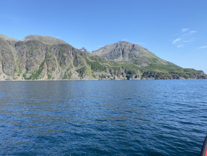 Skjervøy: Birds and Wildlife of Arctic Norway - Weather, Comfort and the Reality of Wildlife Watching