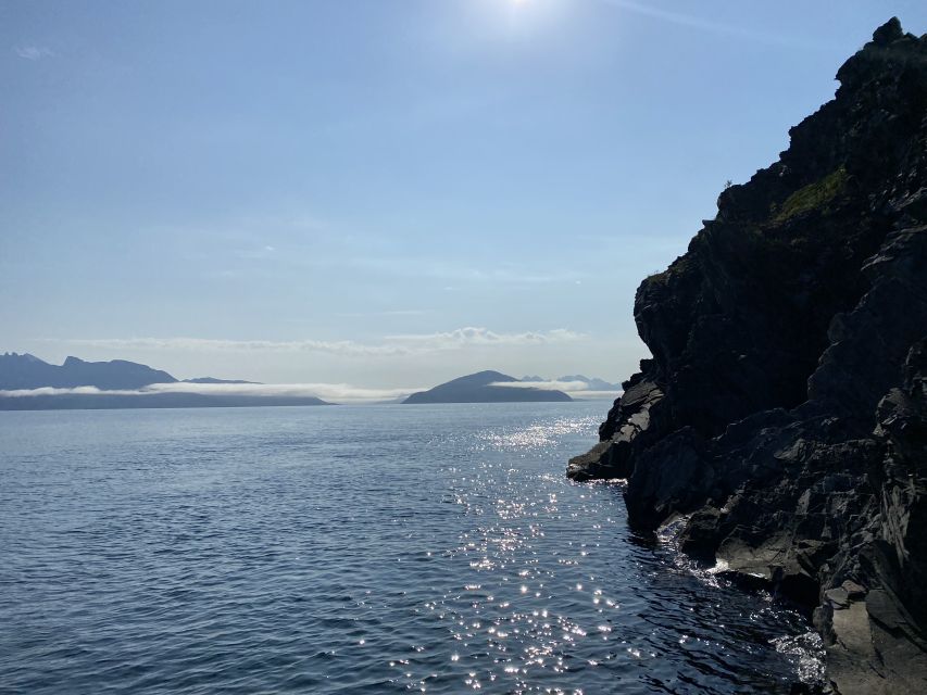 Skjervøy: Birds and Wildlife of Arctic Norway - Who Will Enjoy This Most?