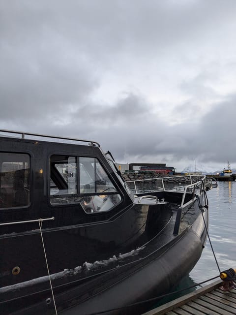 Skjervøy: Orca and Whale-Watching comfort heated Boat Trip - Meeting the boat at Skua Nature’s flag