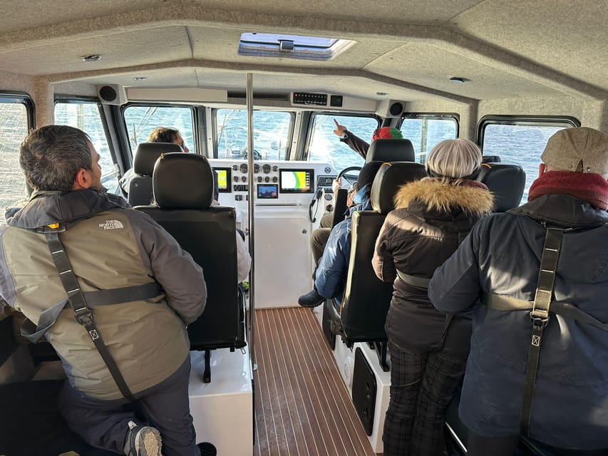 Skjervøy: Orca and Whale-Watching comfort heated Boat Trip - Orcas, humpbacks, and the value of patience