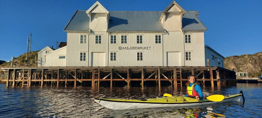 Skrova Island : 3hours Guided Kayak Tour - Booking, cancellations, and useful preparation