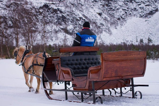 Sleigh or wagon ride in the arctic Country side - Key points to know before you book