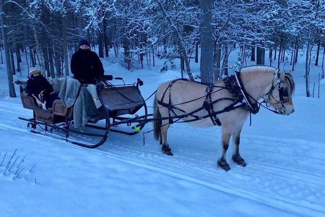 Sleigh or wagon ride in the arctic Country side - Settling into the sleigh