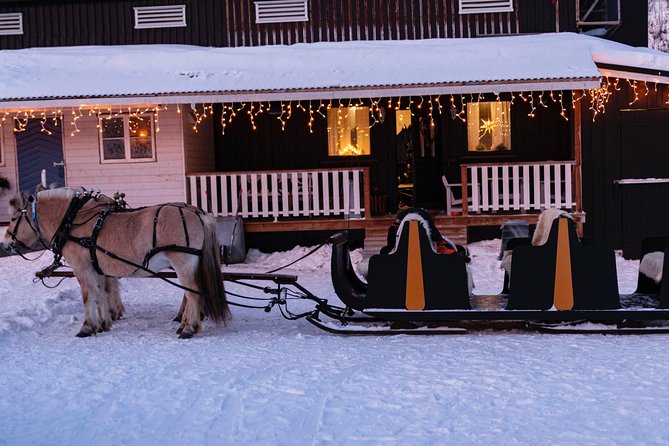 Sleigh Ride w/ snacks - Experience Arctic Farm Life - Leaving Alta for Omdal Gard