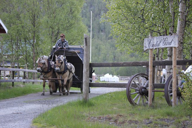 Sleigh Ride w/ snacks - Experience Arctic Farm Life - Clothing, comfort, and changing weather