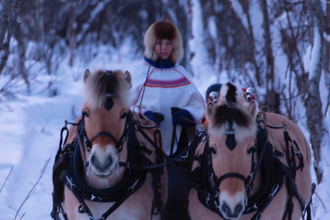 Sleigh Ride w/ Tapas Meal - Experience Arctic Farm Life - Meeting the Norwegian Fjord horses