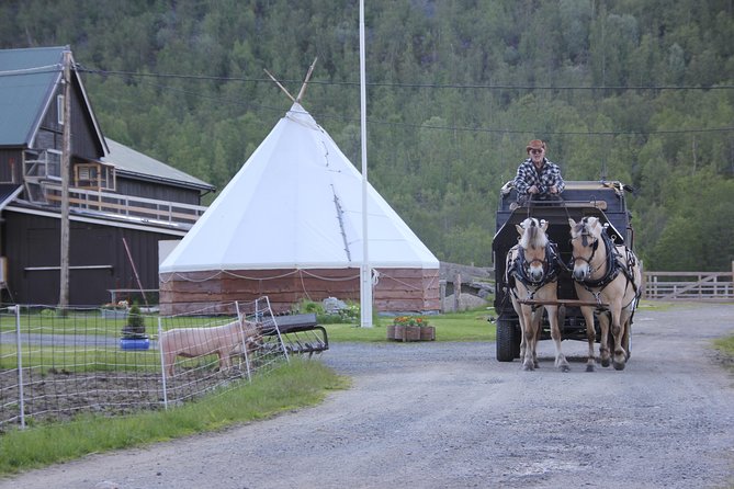 Sleigh Ride w/ Tapas Meal - Experience Arctic Farm Life - Arctic tapas inside the Sami lavvo