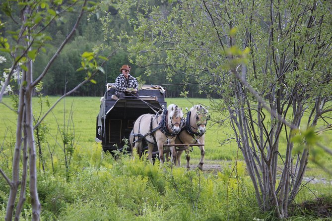 Sleigh Ride w/ Tapas Meal - Experience Arctic Farm Life - Why the family setting matters