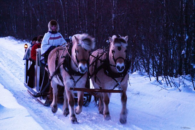 Sleigh Ride w/ Tapas Meal - Experience Arctic Farm Life - Who will enjoy this Alta farm visit?