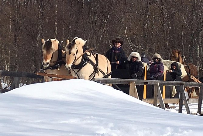 Sleigh Ride w/ Tapas Meal - Experience Arctic Farm Life - Practical details that can shape your day