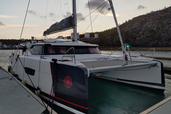 Small group Whale watching - Three hours on the fjord