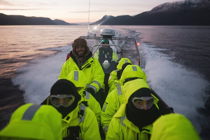 Small Group Whale Watching by RIB - Why the RIB makes a difference