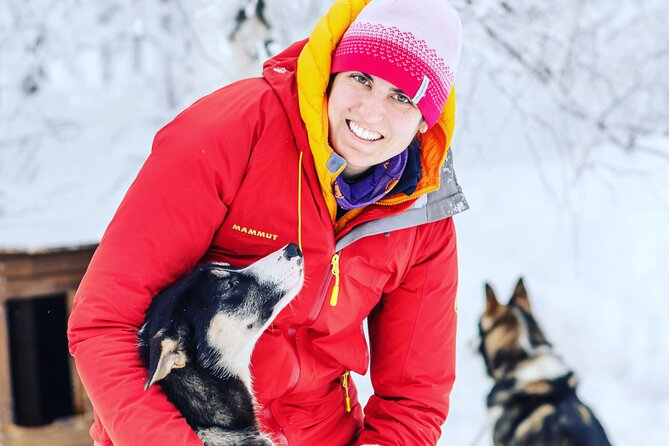 Small Group Wilderness Husky Sledding 2h from Tromsø (car needed) - Switching Roles on the Two-Person Sled