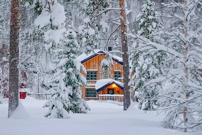 Small Group Wilderness Husky Sledding 2h from Tromsø (car needed) - What the $406.56 Price Buys You