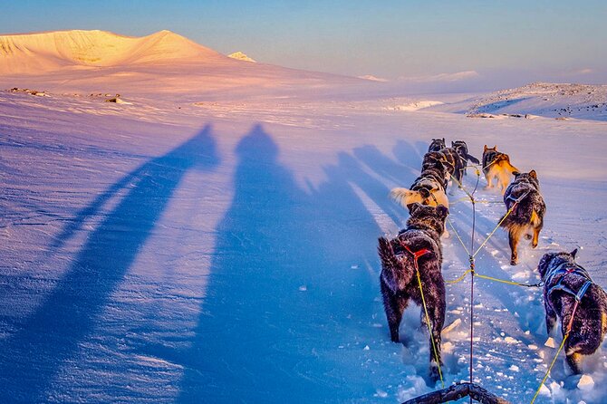 Small Group Wilderness Husky Sledding 2h from Tromsø (car needed) - Getting Ready for the Norwegian Cold