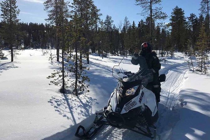 Snowmobile Arctic Adventure - A fire, a wooden hut, and a warm lunch