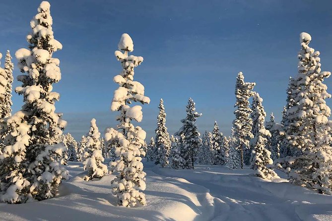 Snowmobile Arctic Adventure - My practical verdict on the Kiruna ride