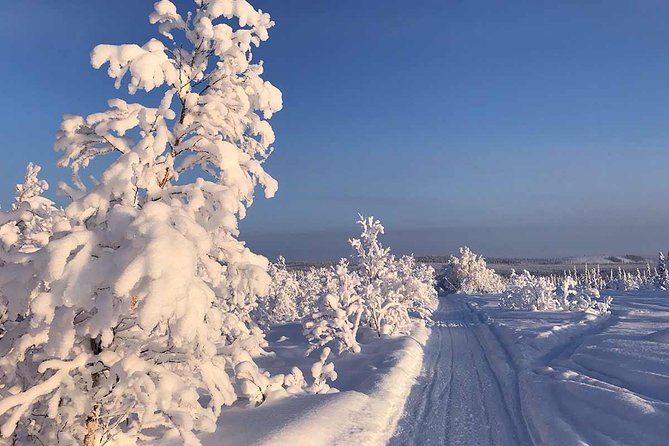 Snowmobile Arctic Adventure - Learning the controls before the first track