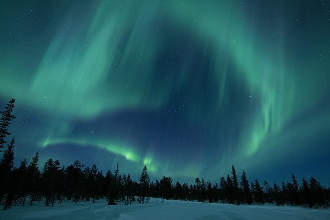 Snowmobile Aurora Expedition with dinner - Leaving Kiruna for the Arctic forest