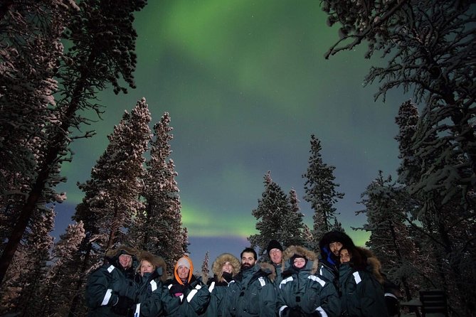 Snowmobile Aurora Expedition with dinner - Guides, group size, and safety