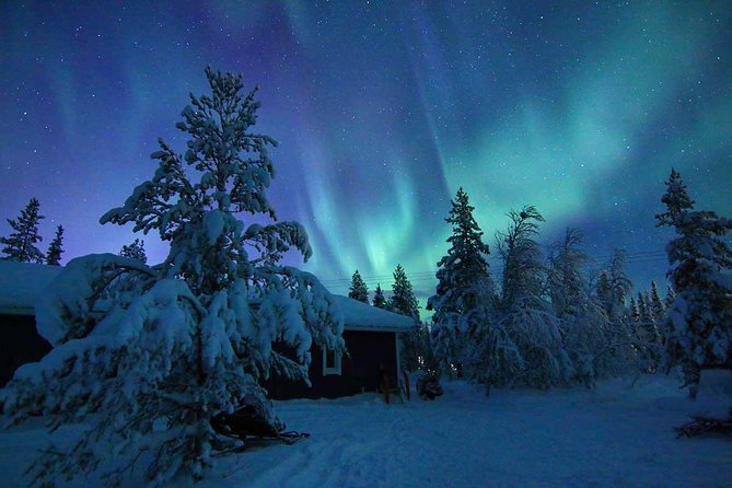 Snowmobile Aurora Expedition with dinner - Chasing the Northern Lights without false promises