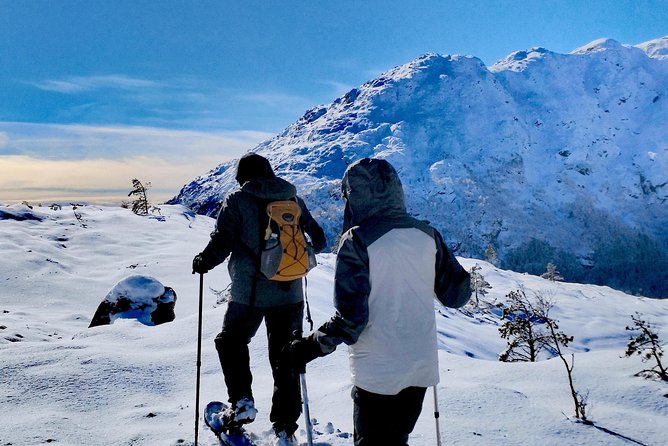 Snowshoe hiking in Bergen - Public tour - Who will enjoy this Bergen outing?