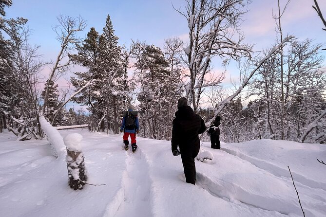 Snowshoe in a Winter Forest - A gentle way into Swedish Lapland