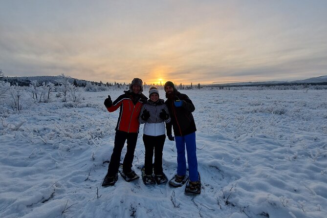 Snowshoe in a Winter Forest - Trees, undergrowth, and the Arctic year