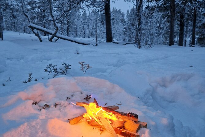 Snowshoe in a Winter Forest - Kiruna, mining, and Sami culture