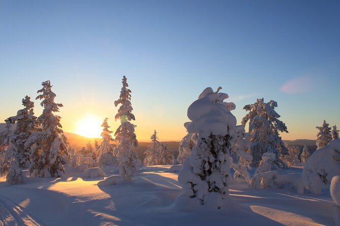 Snowshoe in a Winter Forest - What to wear and what to bring