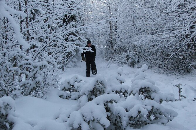 Snowshoe in a Winter Forest - Learning to use the snowshoes