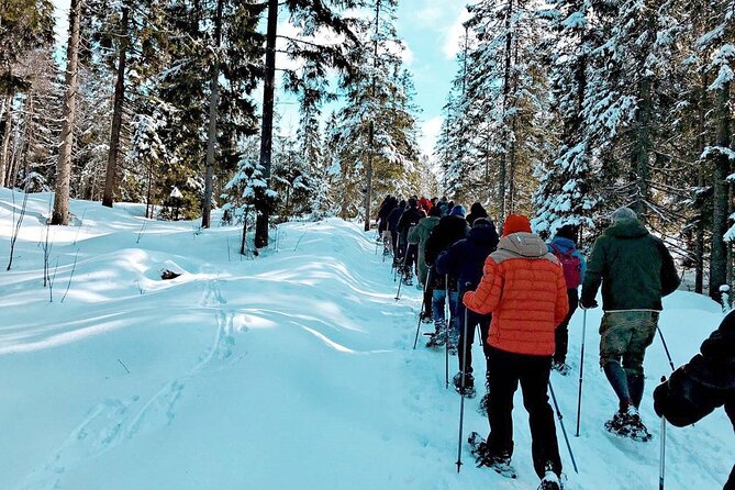 Snowshoe Tour in Winter Wonderland - Oslo - What happens when the snow is thin